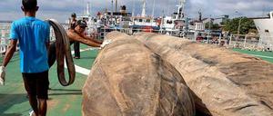 Rettungshelfer in Indonesien bereiten Luftkissen vor, mit denen Teile des Wracks der AirAsia-Maschine geborgen werden sollen.