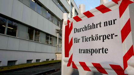 Wegen akuter Seuchengefahr ist die Zufahrt zur Pathologie des Landesamtes für Landwirtschaft, Lebensmittelsicherheit und Fischerei (LALLF) in Rostock (Mecklenburg-Vorpommern) am 14.01.2015 abgesperrt.