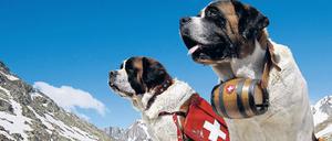 Erste Hilfe leisten die Schweizer Rettungshunde in den Bergen. Gegen Geldprobleme sind sie aber machtlos.