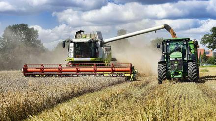 Reiche Ernte. In den vergangenen Jahrzehnten wurden die Erträge in der Landwirtschaft deutlich gesteigert - etwa dank Kunstdünger und moderner Züchtungen. 