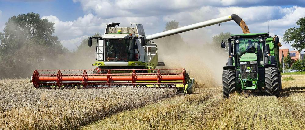 Reiche Ernte. In den vergangenen Jahrzehnten wurden die Erträge in der Landwirtschaft deutlich gesteigert - etwa dank Kunstdünger und moderner Züchtungen.