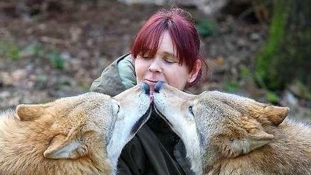 Zwei mongolische Wölfe begrüßen Tatjana Schneider im Wolfspark-Werner-Freund in Merzig.