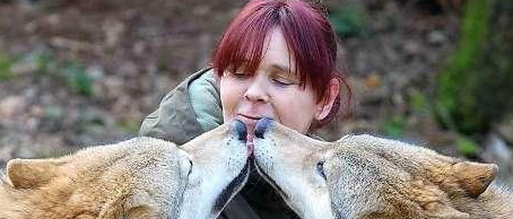 Zwei mongolische Wölfe begrüßen Tatjana Schneider im Wolfspark-Werner-Freund in Merzig.