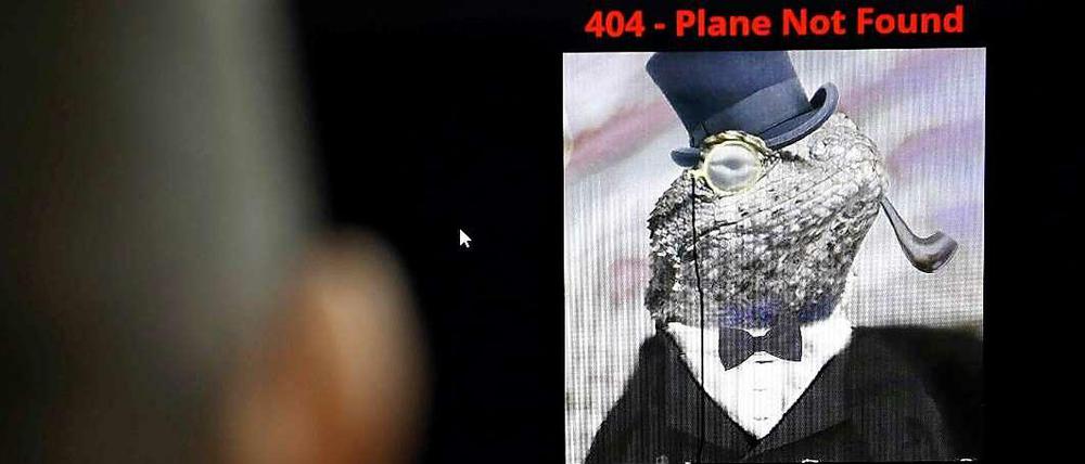 Bei einem Klick auf die Seite der Malaysia Airlines öffnete sich am Montag ein neues Fenster, in dem ein Bild von einer Eidechse mit Smoking und Zylinder und der Hinweis "Gehackt von der Lizard Squad - offizielles Cyber-Kalifat" erschienen. Auf Twitter erklärte die Gruppe, sie werde bald "Beute" von Servern der Fluggesellschaft verbreiten.