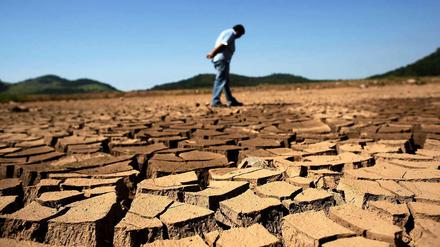 Leer.In den Wasserreservoirs von São Paulo finden sich nur noch aufgerissene Lehmschollen. 