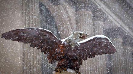 Schneetreiben an der Grand Central Station. Die Behörden nehmen den Blizzard sehr ernst: Der öffentliche Verkehr in New York wurde weitgehend eingestellt.