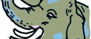 Bei den Asiatischen Elefanten haben nur die Männchen Stoßzähne.