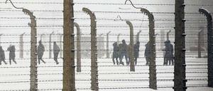 Besucher in Auschwitz.