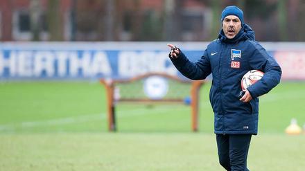 Jos Luhukay, 51, hat nach dem Abstieg im Sommer 2012 als Trainer bei Hertha BSC angefangen. 