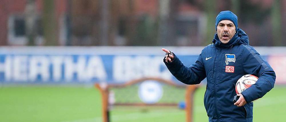 Jos Luhukay, 51, hat nach dem Abstieg im Sommer 2012 als Trainer bei Hertha BSC angefangen.