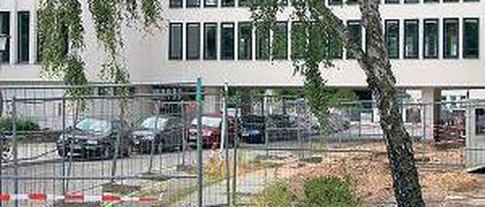 Fundort. Hinter der Uni-Bibliothek stießen Bauarbeiter auf Knochen.