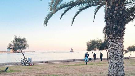 Trügerische Idylle. In solch verträumten Buchten an der türkischen Küste starten Boote mit Flüchtlingen, die auf hoher See von Frachtern übernommen werden – mit ungewissem Schicksal. 