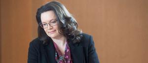 Arbeitsministerin Andrea Nahles.