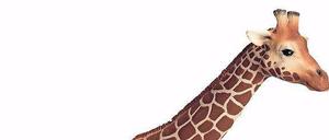 Streckt sich: Der schwäbische Spielwarenhersteller Schleich.