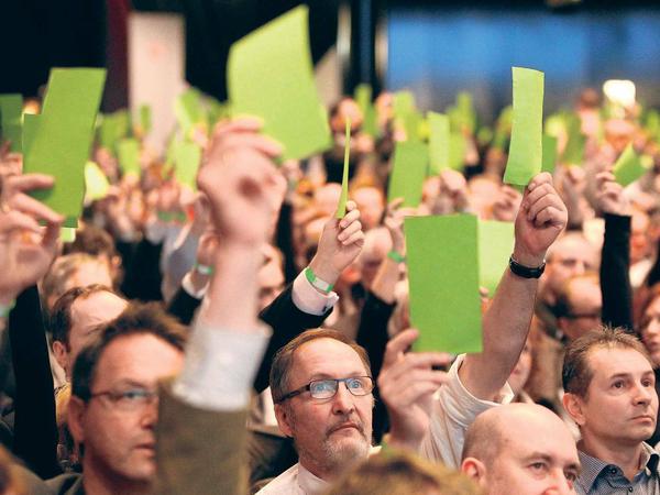 Die Alternative für Deutschland soll in Zukunft nur noch von einem einzigen Parteivorsitzenden geführt werden. Das beschloss der Parteitag.
