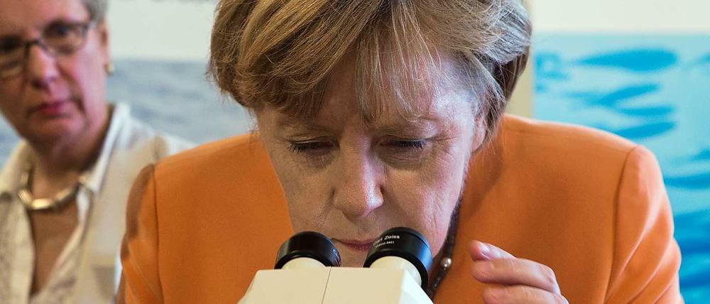 Was verstehen die Deutschland unter Wohlstand? Unter diesem Mikroskop wird Bundeskanzlerin Merkel wohl keine Amtworten finden.