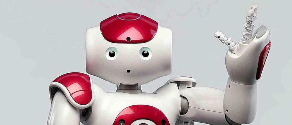 Prototyp "NAO" ist 58 Zentimeter hoch und 5,4 Kilogramm schwer. Der Roboter arbeitet jetzt bei einer japanischen Bank.