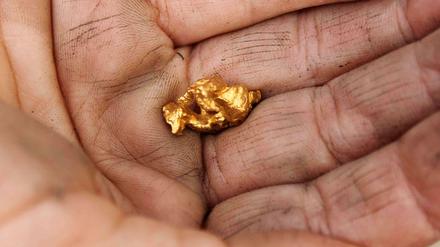 Gold findet man nicht alle Tage. Hier der Fund eines Goldwäschers in Sydney, 2012. Eine Kleinigkeit im Vergleich zu dem Brocken, den ein Hirte in China auf einem Feld gefunden hat