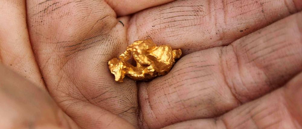 Gold findet man nicht alle Tage. Hier der Fund eines Goldwäschers in Sydney, 2012. Eine Kleinigkeit im Vergleich zu dem Brocken, den ein Hirte in China auf einem Feld gefunden hat