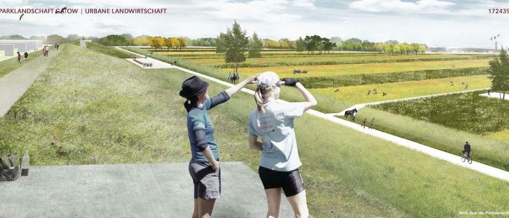 Wie sieht's denn hier aus? Diese Simulation zeigt, wie der Park auf dem ehemaligen Flugplatz Gatow einmal aussehen soll. Die beiden Menschen vorn stehen auf dem Erdwall, hinter dem sich - links zu erkennen - der ehemalige britische Schießplatz befindet.
