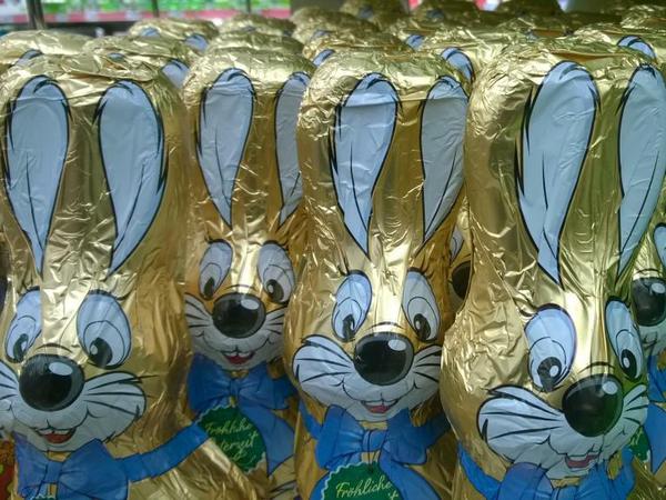 Ja, ist denn heut' schon Ostern? Diese possierlichen Schokoladenhasen tummelten sich am Montag schon in einem Discounter in Kreuzberg.