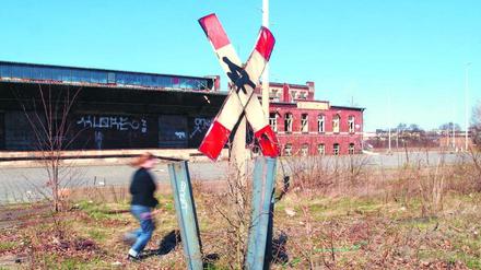 Eisenbahnidyll. Die alten Bahnanlagen wie hier am Innsbrucker Platz in Friedenau liegen brach; die Bahn will die einstigen Gütergleise gern dafür nutzen, um Züge um die Innenstadt herum zu führen.