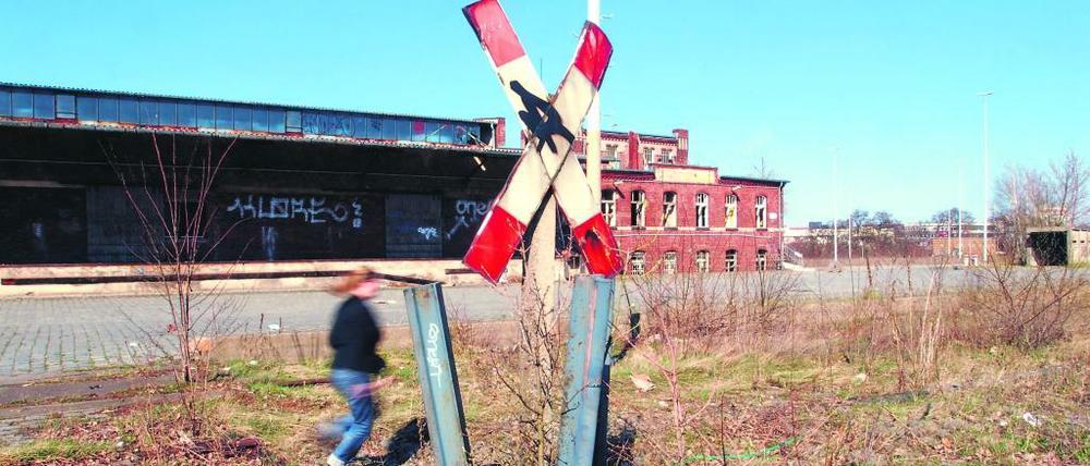 Eisenbahnidyll. Die alten Bahnanlagen wie hier am Innsbrucker Platz in Friedenau liegen brach; die Bahn will die einstigen Gütergleise gern dafür nutzen, um Züge um die Innenstadt herum zu führen.