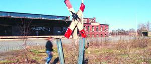 Eisenbahnidyll. Die alten Bahnanlagen wie hier am Innsbrucker Platz in Friedenau liegen brach; die Bahn will die einstigen Gütergleise gern dafür nutzen, um Züge um die Innenstadt herum zu führen.