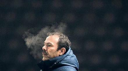 Fußballlehrer mit Einfluss. Trainer Jos Luhukay bestimmte beim Verein sogar die Personalpolitik. Manager Michael Preetz steht dafür jetzt in der Kritik und gilt vielen als Gesicht des Niedergangs.