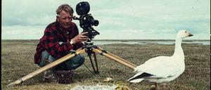 Doch das reicht dem Tierfilmer nicht, es geht weiter: Eine Schneegans filmt Heinz Sielmann samt Küken in der kalten Arktis Mitte der 1960er Jahre.