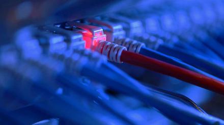 Zum Thema Datenschutz leistet sich die Bundesregierung eine eigene Stiftung.