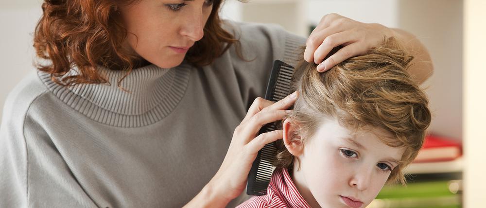 Um Läuse zu entdecken, müssen die Haare nass ausgekämmt werden.