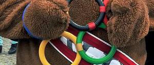 Sollen die Olympischen Spiele in Berlin stattfinden?