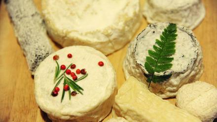 So ein Käse! Und das ist jetzt nicht mal negativ gemeint.