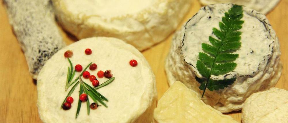 So ein Käse! Und das ist jetzt nicht mal negativ gemeint.