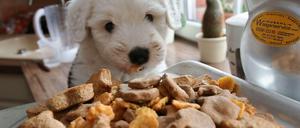 Mahlzeit. Nicht immer ist Qualität drin, wenn es auf der Hundefutter-Dose steht.