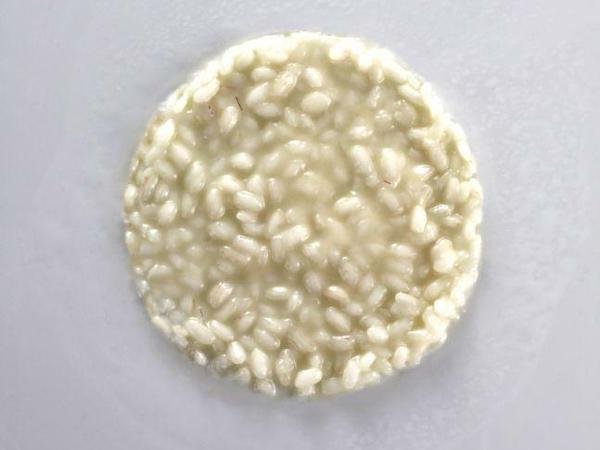 Risotto cacio e pepe.