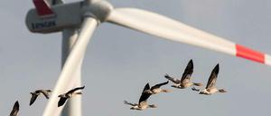 Woher der Wind weht. Ohne die massive Nutzung erneuerbarer Energie - wie Windstrom aus dem Umland - kann Berlin nicht klimaneutral werden.