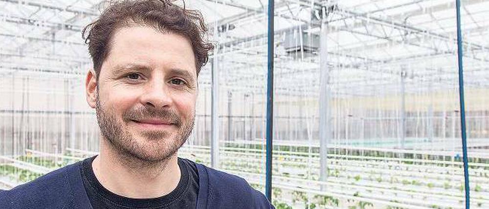 Nicolas Gleschke steht im Glashaus der neuen Aquaponik-Farm. Hinter ihm gedeiht das erste Grün.