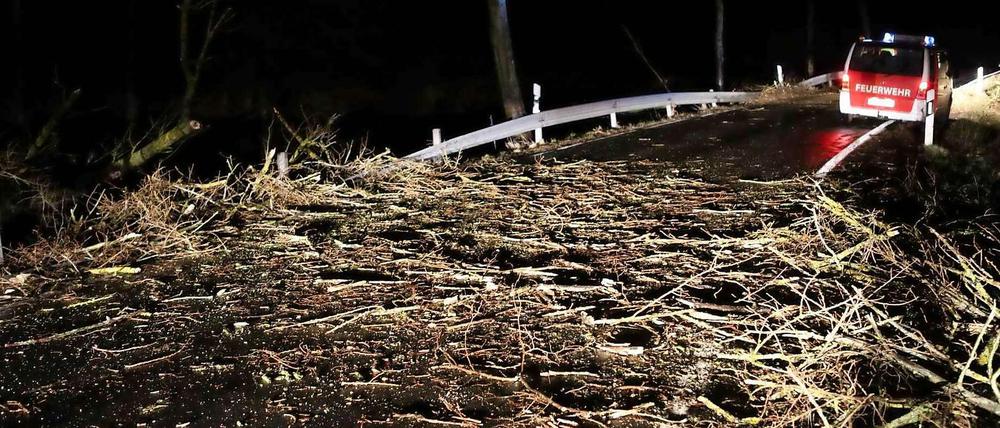 Umgeknickte Baumstämme und herabgerissene Äste liegen in der Nacht zum Montag auf einer Straße im Ortsteil Otterbach von Gemünden (Fulda) im Vogelsbergkreis.