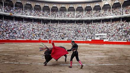 Spaniens Regierung will sich dafür einsetzen, dass der auch in dem südeuropäischen Land umstrittene Stierkampf von der Unesco zum Weltkulturerbe erklärt wird.