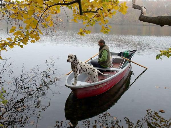 Um den See soll bald nicht mehr gehen, aber auf dem See? Ist eigentlich dann Bootfahren für Hunde noch erlaubt?