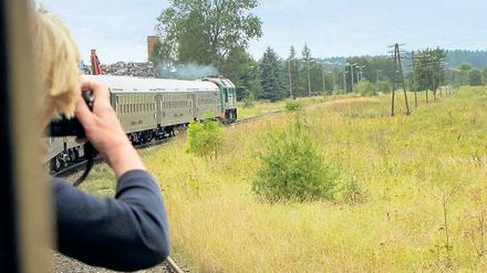 So grün, so weit. Birken, Kiefern, Heide und Sümpfe bestimmen die ebene Landschaft jenseits von Warschau. 