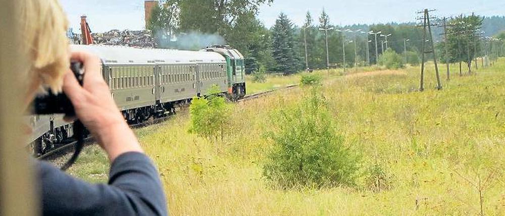 So grün, so weit. Birken, Kiefern, Heide und Sümpfe bestimmen die ebene Landschaft jenseits von Warschau.