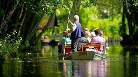Eine idyllische Kahnfahrt durch den Spreewald gefällig? Dieses Wochenende gehen die Touren wieder los.