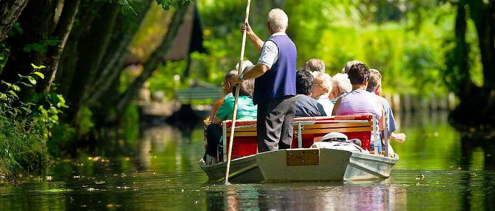 Eine idyllische Kahnfahrt durch den Spreewald gefällig? Dieses Wochenende gehen die Touren wieder los.