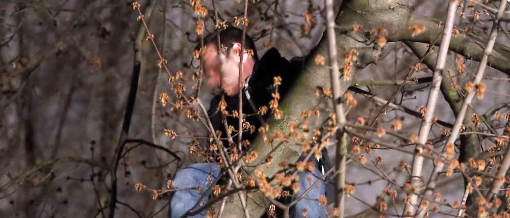 Dieser Mann war in eine Baumkrone geklettert und musste von Höhenrettern der Feuerwehr befreit werden.