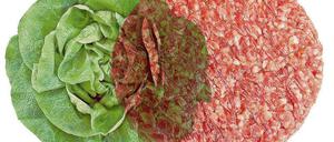 Salatkopf trifft Hackfleisch: Kann denn Liebe Sünde sein?