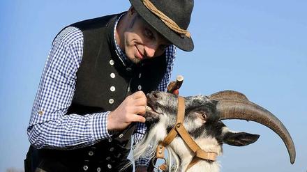 Bitte nicht rumzicken. Mirko Zimmermann organisiert Führungen mit Ziegen rund um Altreetz/Oderaue im Oderbruch. Etwas Zeit muss man den Tieren dabei schon lassen.