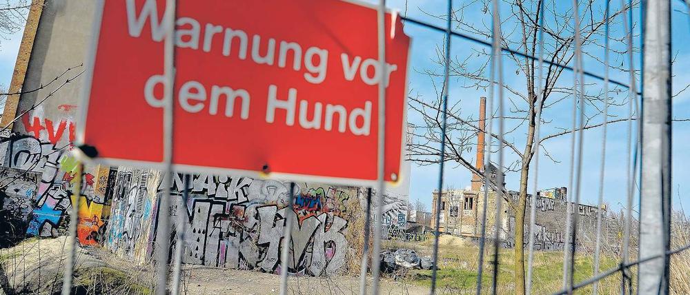 Bissige Nachbarn. Damit vom Nachbargrundstück der Zeltstadt niemand in die Ruine der Eisfabrik einsteigt und dort eine Favela gründet, hat der Eigentümer einen neuen Zaun errichtet.
